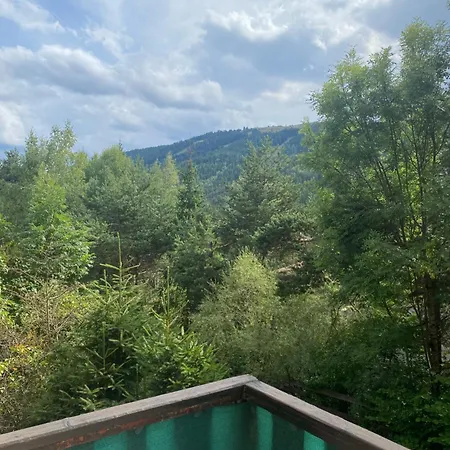 Appartement Les Perces Neige *