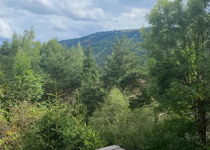 Apartment Les Perces Neige *